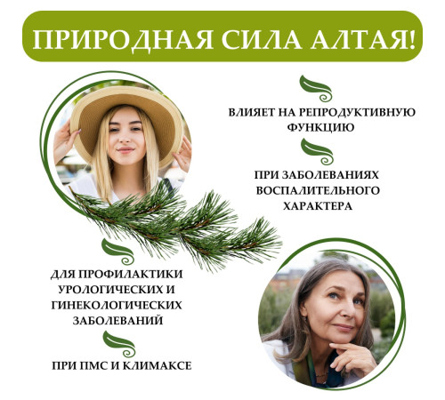 Бальзам Алтайский с боровой маткой и красной щеткой, стекло 250 мл