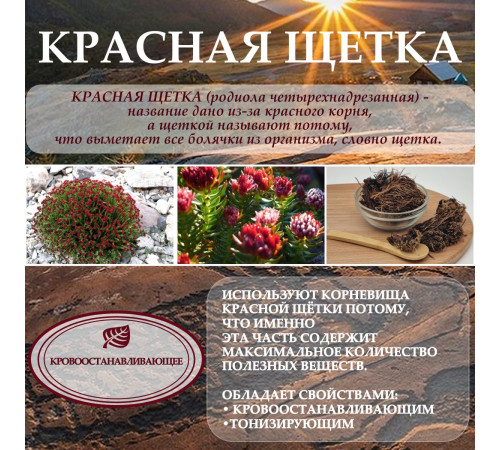 Бальзам Алтайский с боровой маткой и красной щеткой, стекло 250 мл