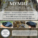 Бальзам Алтайский с мумие, стекло 250 мл