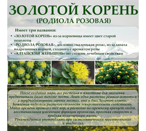 Бальзам Алтайский с золотым корнем, стекло 250 мл