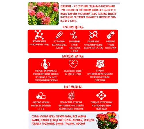 Травяной сбор Здоровая женщина с красной щёткой, 20 фильтр-пакетов