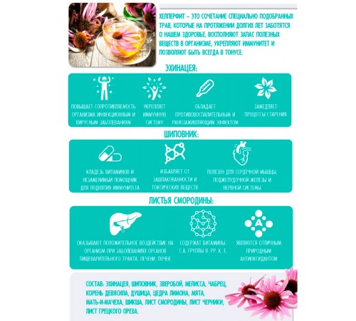 Травяной сбор Крепкий иммунитет с эхинацеей и шиповником, 20 фильтр-пакетов