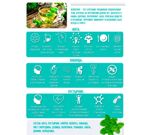 Травяной сбор Стальные нервы с мятой, 20 фильтр-пакетов