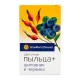 Пыльца цветочная + шиповник и черника, 60 таблеток