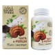 Чага и рейши экстракт, 60 капсул