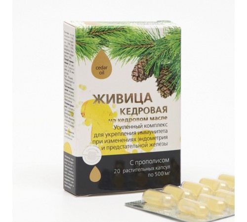 Живица кедровая на кедровом масле с прополисом для укрепления иммунитета, капсулы 20 шт.