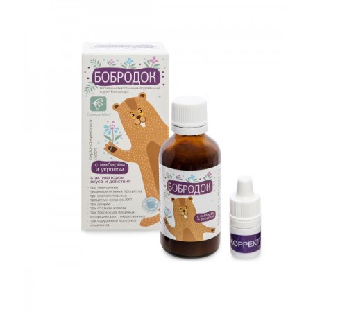 Бобродок с имбирём и укропом при нарушении пищеварения, 50 мл