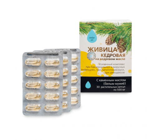 Живица кедровая на кедровом масле с каменным маслом при бактериальных и вирусных инфекциях, капсулы 30 шт.