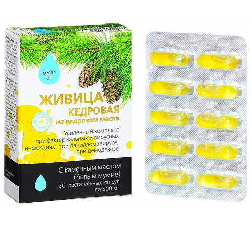 Живица кедровая на кедровом масле с каменным маслом при бактериальных и вирусных инфекциях, капсулы 30 шт.