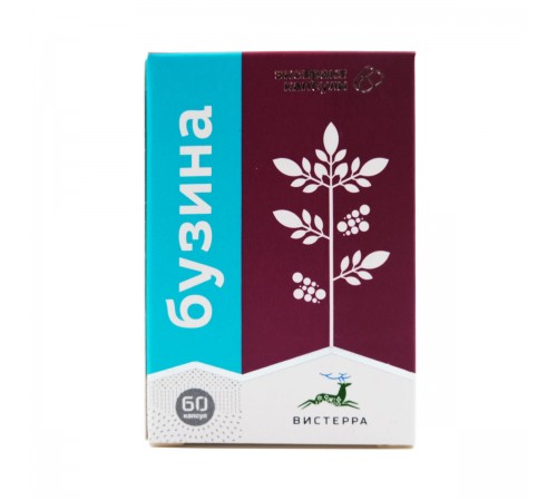 Бузина Вистерра, 60 капсул