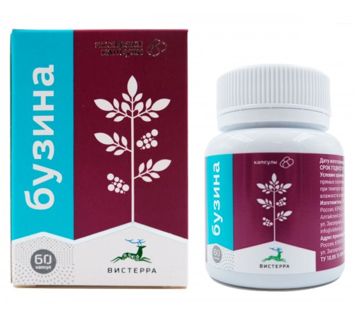 Бузина Вистерра, 60 капсул
