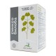 Гинкго билоба Вистерра, 60 капсул